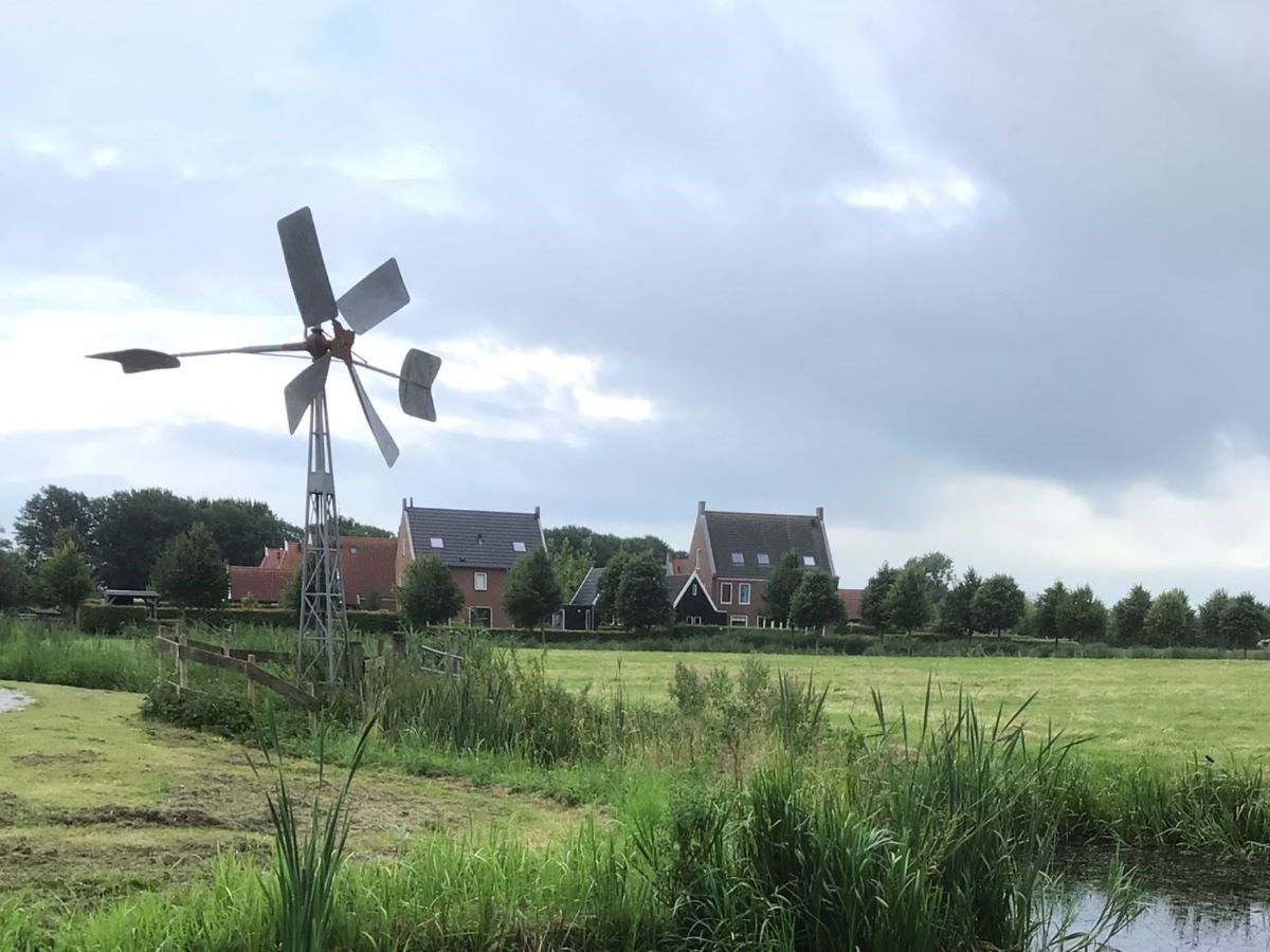 Oud windmolentje met kruidenrijk grasland