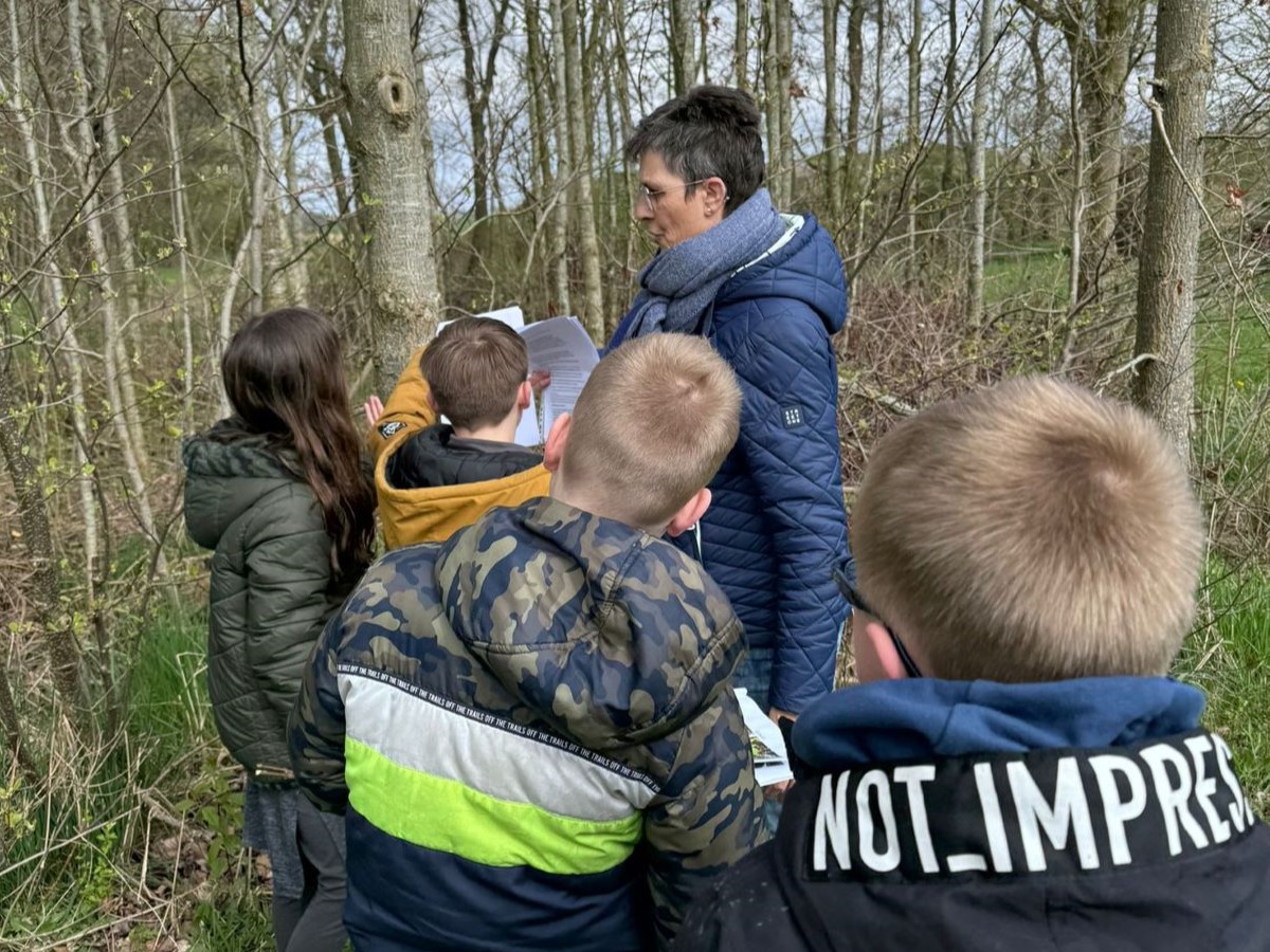 Fûgelsang bomen determineren 4-4-2024