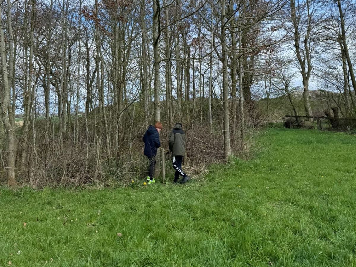 Fûgelsang bomen opmeten 4-4-2024