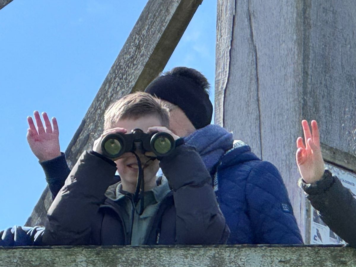 Fûgelsang vogels spotten vanaf de uitkijktoren 4-4-2024