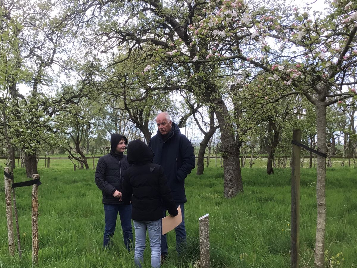 Lyts Libben fruitbomen 22-4a